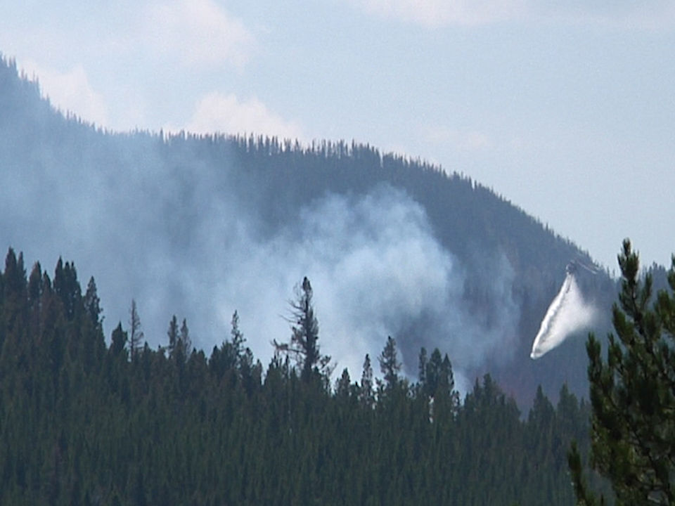 HORSEFLY FIRE